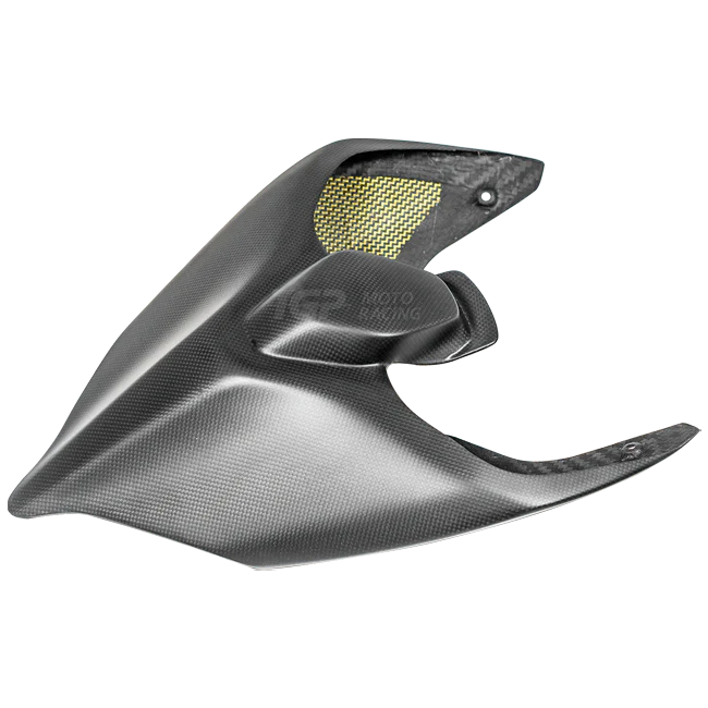 Heckverkleidung Carbon PlasticBike Ducati Panigale V2 955 (20-24)