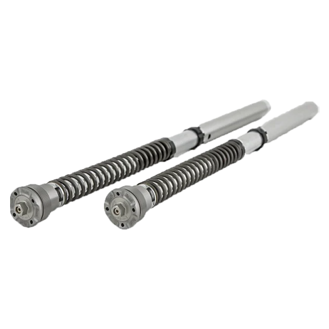 Öhlins NIX 30 Cartridge Kit FGK 212 BMW S1000RR K46 (09-18)