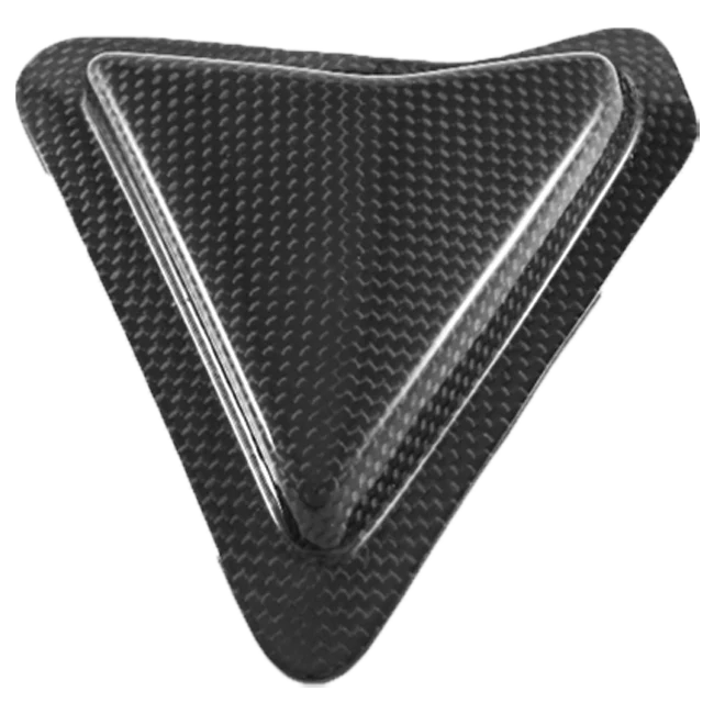 Slider Schwingenschutz Carbon Fullsix Ducati Panigale 1299/S (15-18)